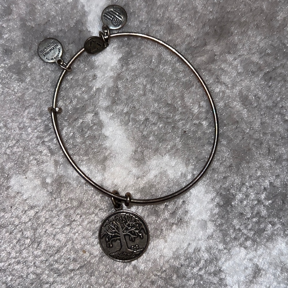 Alex and ani